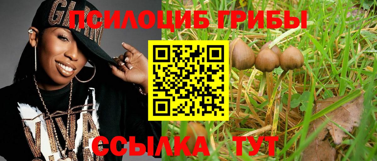 Псилоцибиновые грибы Magic Shrooms  Вход с VPN  Таганрог 